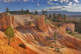 The well-known orange rocks in Bryce canyon in state of Utah USA