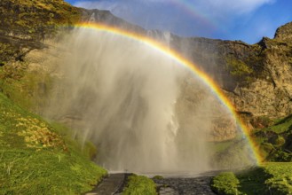 Seljalandsfoss in the evening light, Iceland, Europe