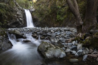 Beautiful Waterfall with stones on the ground in the heart of Machairas forest at Troodos mountains