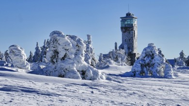 Wonderful snow-covered winter landscape on the Hornisgrinde