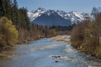 The spring-like Iller with the Oberstdorf Alps in the background in Fischen, Allgäu, Swabia,