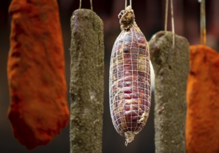 Dried green, brown and orange beef and pork jerky is shown at a food and drink exhibition
