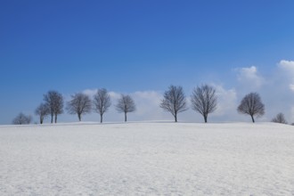 Winter landscape under blue sky