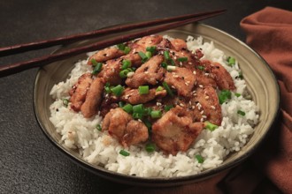 Fried chicken teriyaki with rice, green onion and sesame, homemade, no people