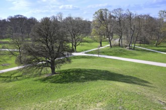 Tree casts shadow on a meadow, view from the Monopteros, English Garden, Munich, Bavaria, Germany,