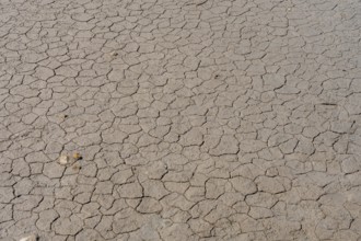 Dry, cracked earth texture reveals the devastating effects of severe drought conditions,