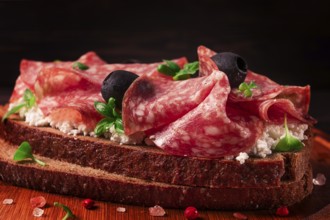 Sandwich, grain bread, with cream cheese and salami, black olives, micro-greens, top view,
