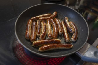 Nuremberg sausages in the pan on the cooker, Bavaria, Germany, Europe