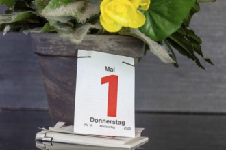 May Day: The page of a tear-off calendar shows the date 1 May
