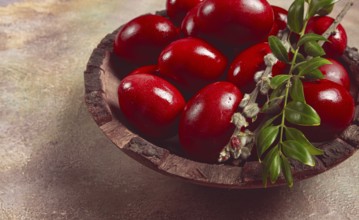 Painted eggs in a wooden bowl, red, painted madder dye, powder from the roots of endro, with onion