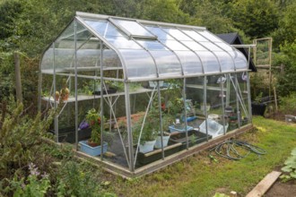Glass greenhouse vegetables growing inside, England, UK