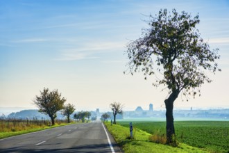 Country road near Gartz Oder, Brandenburg, Germany, Europe