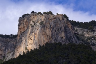 Castle ruins of Castell d'Alaró on a mountain of the Tramuntana mountains, Serra de Tramuntana,