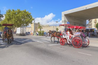 Tourists riding in a horse drawn carriage, Alcudia, Mallorca, Balearic Islands, Spain, Europe