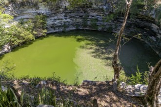 Sacred Cenote, Chichen Itzá, Mayan ruins, Yucatan, Mexico, Central America
