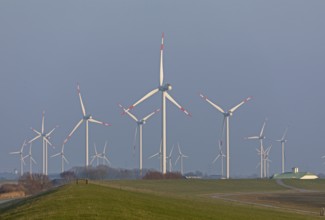 Wind farm, wind power plants, dyke, Reußenköge, North Frisia, Schleswig-Holstein, Germany, Europe