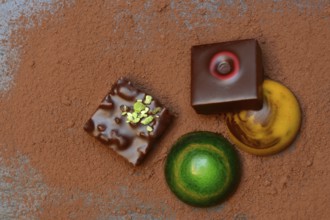 Colourful chocolates on cocoa powder