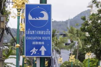 Tsunami Hazard Zone. Warning sign, signposting of escape routes in the event of another seaquake.