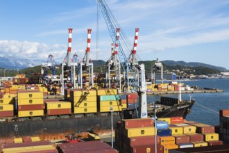 High angle view of stacked MSC, TEX and NileDutch metal box shipping containers loaded onto MSC