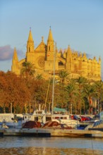 View of La Seu Cathedral from Palma de Mallorca harbour, Palma de Mallorca, Mallorca, Balearic