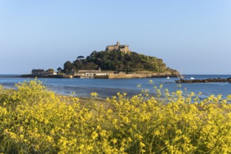 View of St Michaels Mount, from Marazion Beach. Yellow flowers in front. St Michael's Mount,