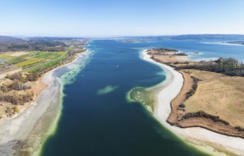 Aerial view, panorama of the Markelfinger Winkel in western Lake Constance, on the right the