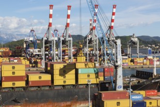 High angle view of gantry stacked MSC, TEX and NileDutch metal box shipping containers loaded onto