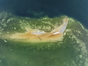 Aerial view, top down view of a shoal due to low water, drought, danger to shipping traffic, on the