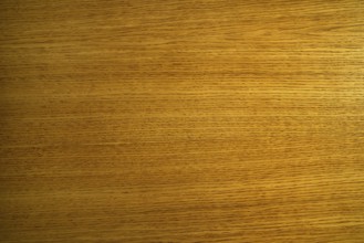 Oak tree wooden table texture background