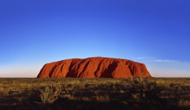 Ayers Rock Uluru at sunset, illuminated in red light, Northern Territory, Australia, Oceania