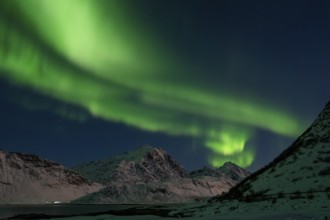 Northern Lights (Aurora borealis), Aurora Borealis, Lofoten, Norway, Europe