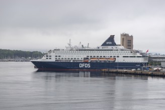 A picture of a DFDS cruise