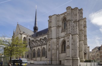 Saint Peter's Church of Leuven, Belgium, is situated on main market square. Built mainly in the