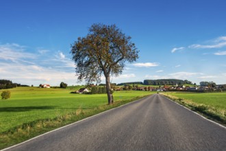 Country road, meadows and forest, blue sky near Leutkirch, Allgäu, Bavaria, Germany, Europe