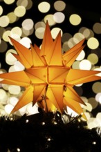 An orange-coloured, Christmassy star shines in the foreground in front of a beautiful, blurred