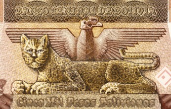 Condor and Leopard on 5000 Bolivianos 1984 Banknote from Bolivia