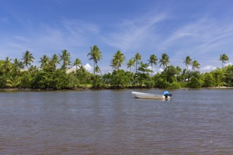 Pacific Harbor sandy beaches on Queens Road, Pacific Harbor Village, Viti Levu Island, Fiji,