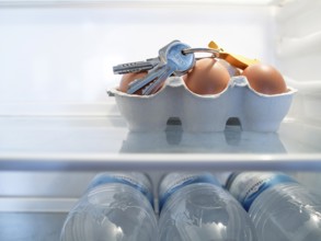 Forgotten bunch of keys in the fridge