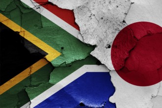 Flags of South Africa and Japan painted on cracked wall