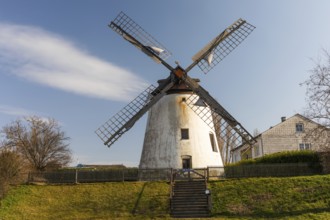 Windmill, Podersdorf am See, Burgenland, Austria, Europe