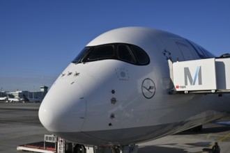 Lufthansa Airbus A350-900, cockpit and cabin with passenger boarding bridge at check-in position in