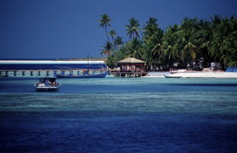 Maldives Island Rhasdoo, Native Island, Maldives, Indian Ocean, Rasdhoo Atoll, Asia