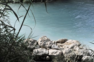 Clear river with natural stones and surrounded by lush plants, Terme di Saturnia, Cascate del