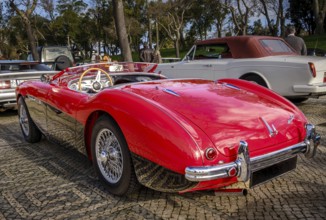 Lisbon, Portugal, Jan 20, 2024: Rear view of two-tone Reno red and black Austin-Healey 100 vintage