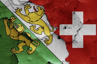 Flags of Thurgau canton and Switzerland painted on cracked wall