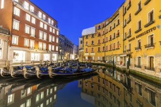 Bacino Orseolo, gondola car park, blue hour in the morning, Venice, Italy, Europe