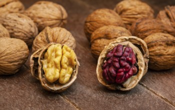 Red Danube and Juglans regia walnuts on wooden background, comparison concept. It originated from a