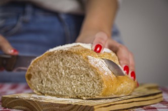 Beautiful Sourdough bread being sliced ??by knife by woman's hands and blurred background