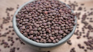 Whole Brown Lentils in a Blue Bowl, Rustic Close-Up Shot, Vegan Food