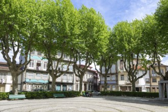 Trees around city park Jardim do Largo Condessa do Juncal, city centre of Guimaraes, northern